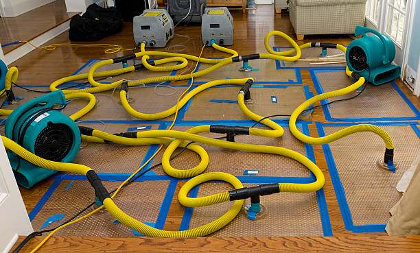 Professional Emergency Water Removal technician working in Lignum, VA